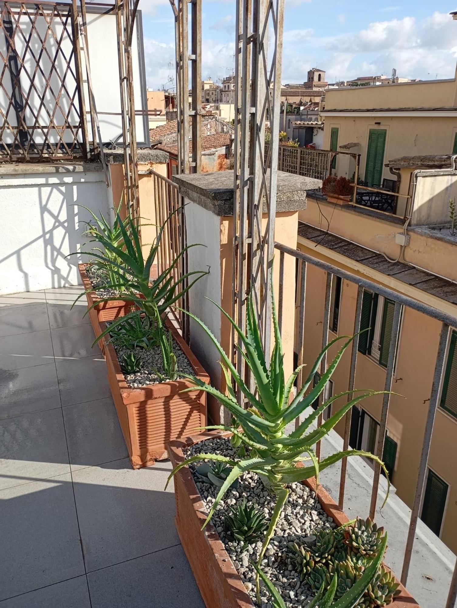 Colosseum Exclusive Duplex Rome Extérieur photo